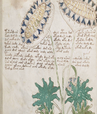 Afbeelding van een oud manuscript